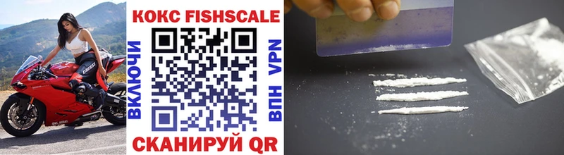 Купить закладки  Биробиджан  Кокаин Fish Scale 