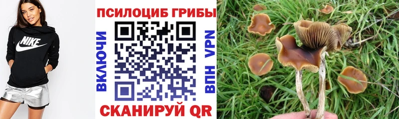 Галлюциногенные грибы мухоморы  Купить где  Биробиджан 